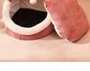 All-Season Cat & Dog Bed: Cozy Enclosed Pet House & Sleeping Mat