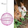 Hanging Chicken Feeder Hamster Rabbit Treat Ball Vegetable String Ball Poultry Fruit Holder with Adjustable Height Stainless Steel Chain Easy