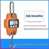 Industrial Electronic Crane Scale, 300kg Capacity, Portable Hook Hanging Scale