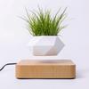 Magnetic Levitation Flower Pot for Home Decor - Creative Floating Bonsai Planter