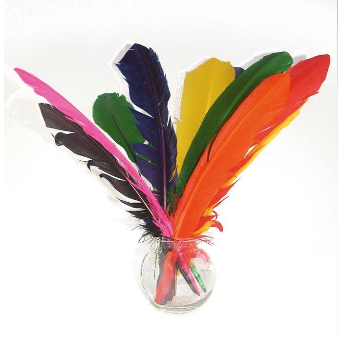 Plumes d'Indien - OZ INTERNATIONAL - SC00655 - Assortiment de 12 - Longueur 20 cm - Multicolores