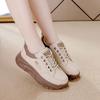 2025 spring new dad shoes women's shoes versatile shock-absorbing sports shoes casual shoes spring and autumn platform women's shoes ins tide