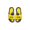 Air Jordan Hydro IV Retro BG 'Lightning' GS DN4239-701