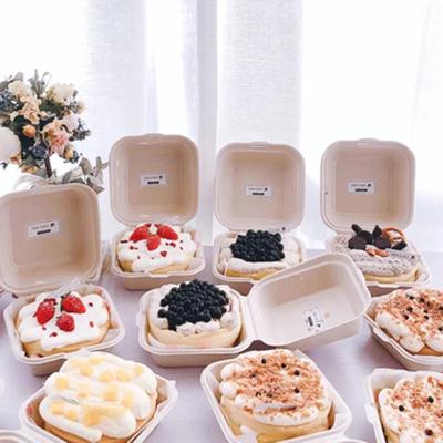 10/20ks Jednorázová biologicky odbouratelná hamburgerová krabička, Bento Lunch Box Nádoby na pečení Cak Nádoby na dezert Ochrana Snack box