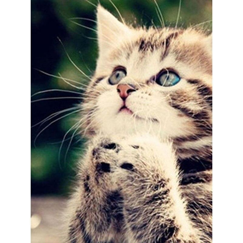 5D DIY Diamond Painting Tabby Cat Art Diamond Embroidery Rhinestones Decorations for Home