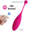 Wireless Control Panties Vibrator for Women G Spot Stimulate Vagina Clitors Massager Wearable Vibrating Egg Sex Toys for Adult