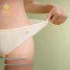 Babycare Camellia Print Disposable Maternity Underwear