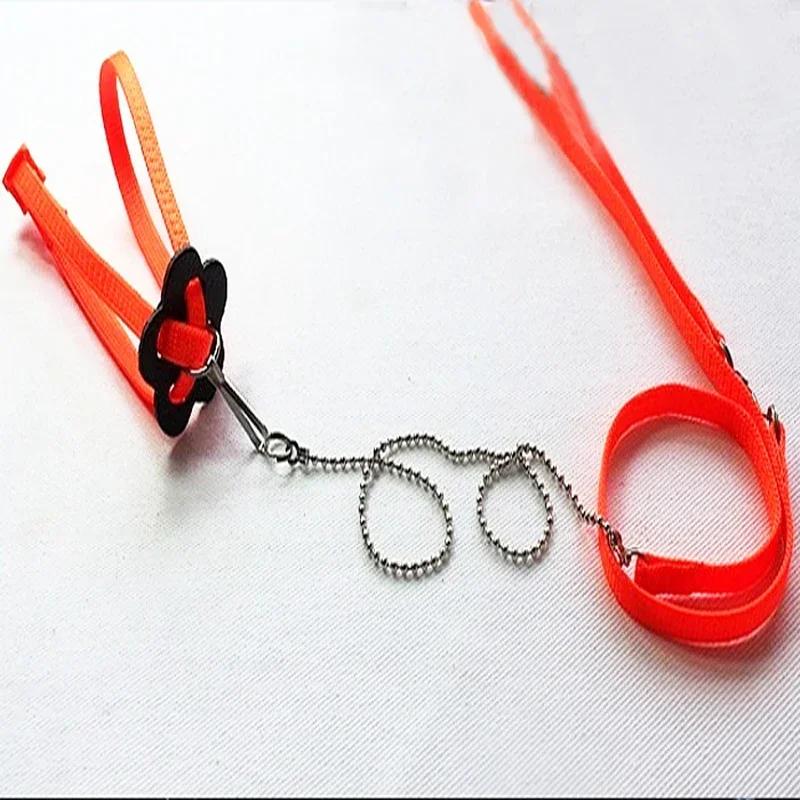 

Поводок для рептилий, тяговый канат для ящериц, поводок для альпинизма, поводок для домашних животных, контрольный канат для ходьбы, рептилий, амфибий, цепная версия, ошейник с ремешком оранжевый