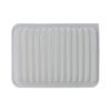 CA10190 Engine Air Filter for Select Toyota, Scion and Pontiac Models