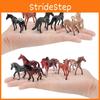 Miniature Horse Model Collectible Pvc Static Figurines Set Animal Model For Display And Decor