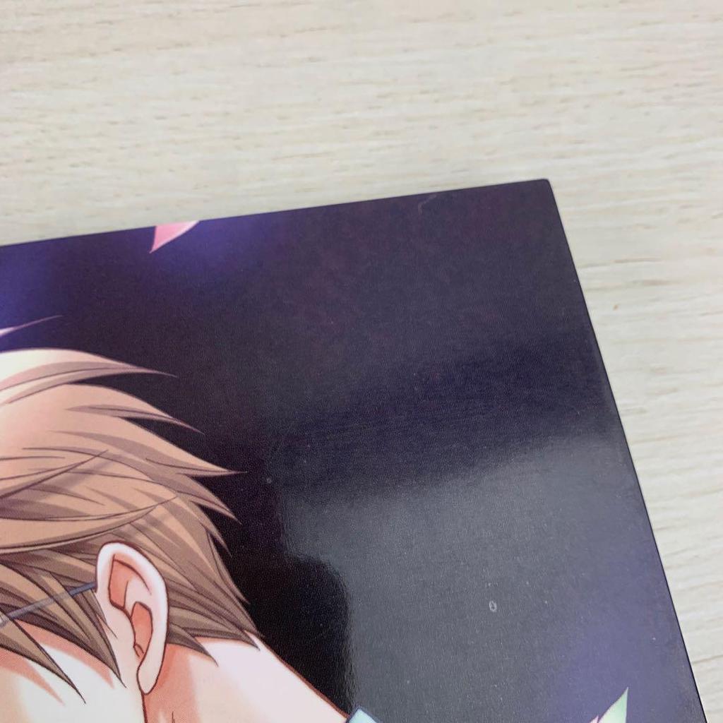 [USED] Devil Megane R Official Visual Fan Book First Edition with Obi