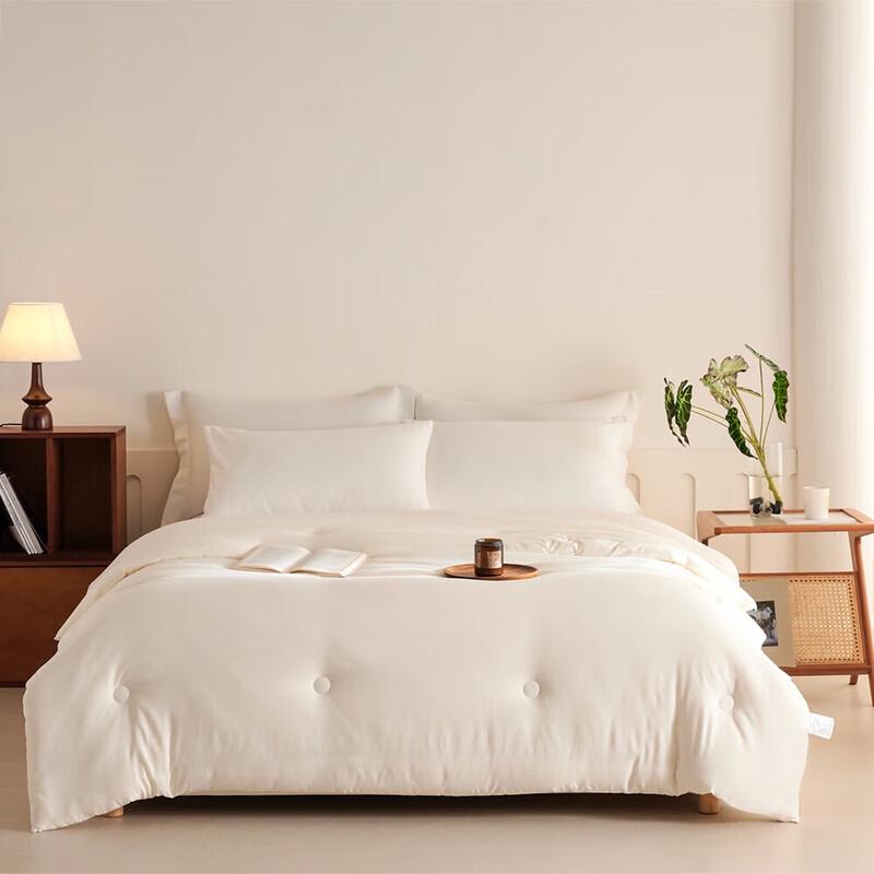 

Jieliya Soy Fiber All-Season Washable Quilt