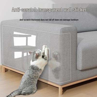 Kočky – Péče o kočku