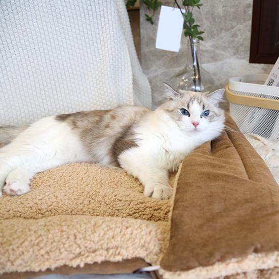 Estera para gatos autocalentable, suave, lavable, cama calmante para gatos, cojín plegable