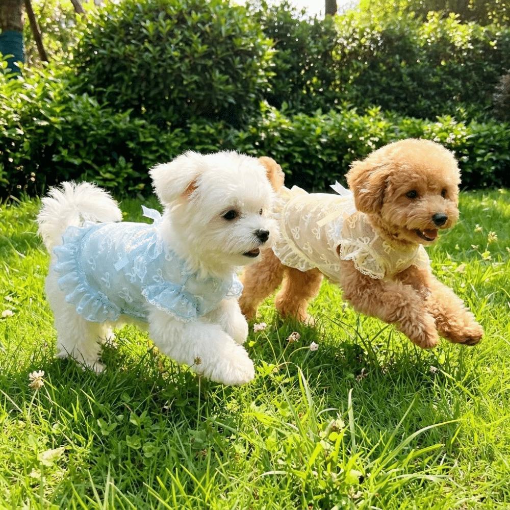 Hollow Out Anti Mosquito Bite Dog Vest UV Protection Anti Shedding Pet Clothing  Outdoor