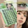Daji Fox Series Glue-Free Eyelashes - Natural, Thick, Comic Curl, Long-Lasting Wear
