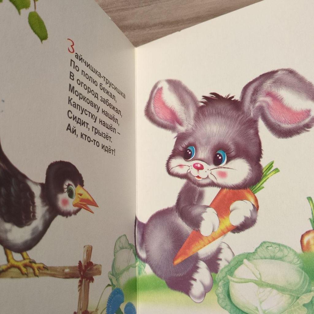[USED] Very cute Russian picture book