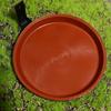 Removable Outdoor Adjustable Hanging Bird Food Trays Bird Bath Bowl Bird Feeder Pet Water Feeder