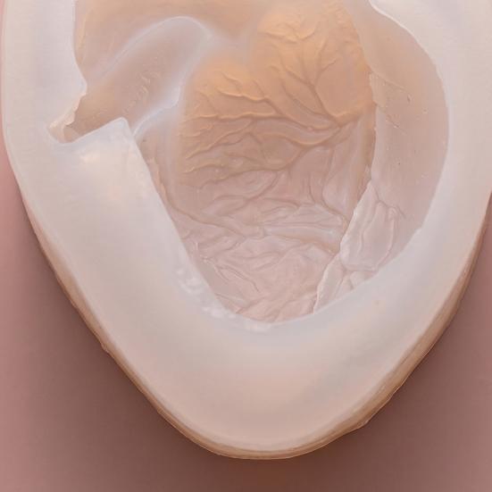 Silicone Brain & Heart Candle Mold Realistic Organ Shape Mold for Epoxy Resin Fondant Soap Easy-Release DIY Craft Mold