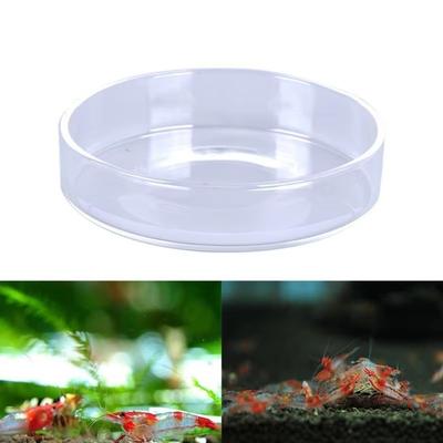 Vissen en zeedieren – Aquarium decoratie
