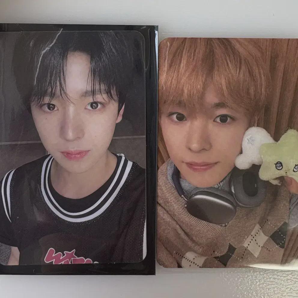 

Nct Wish Yuushi Photo Card