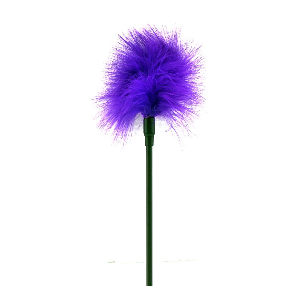 Feather Paddle SM Toy: Erotic Flirting Feather Brush Stick for Adults