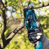 Makita Cordless Fruit Tree Pruner Kit CN Plug (adapter Included)