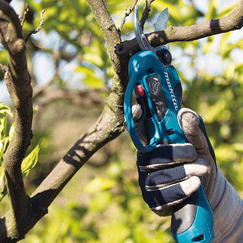 Makita Cordless Fruit Tree Pruner Kit CN Plug (adapter Included)