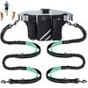 Hands Free Dog Leash For 2 Dogs With Water Poop Bag Holder Cell Phone Pouch Reflective Elastic Extendable Dog Leash Waist