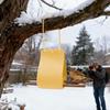 Bird Feeder Silicone Feeding With Wooden Perches Adjustable Strap Small Bird Feeder For Backyard Garden Decor Window Viewing
