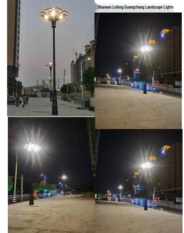 Modern Outdoor LED Garden Lamp for Courtyard, Park, and Villa
