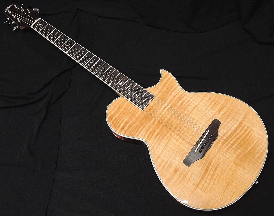 

ARIA APE-100 N Thin Body Electric Acoustic Guitar Side Sound Hole Fishman Natural