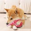 Cães – Brinquedos para cães