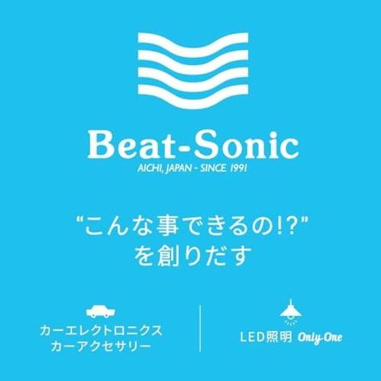 Beat-Sonic Interdental Toothpicks Teeth Gums Tabletop Type 250 Pieces