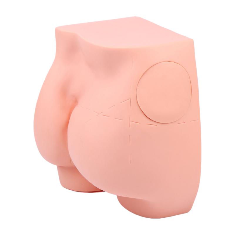 Human Adult Hip Injection Training Model Reusable Manikin Teaching Intramuscular Anatomical Models For Nurse Medical Students