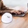 Vertical Mouse, Wireless, Bluetooth & 2.4G, USB, 3-Mode, Vertical, Quiet, 6 Buttons, Optical, Compact, Type-C Rechargeable, Ergonomic, Right-Handed,