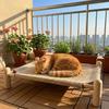 Moisture-proof Cat Elevated Bed Wooden Frame Cat Hammock Dog Cot Dog Sofa Bed  Kennel