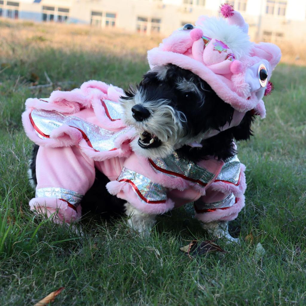 Dog Clothes Funny New Year's Pet Chinese Costume Dragon Dance Lion Dog Party Lion Dance Red Cosplay Festive Lucky Pet Clothes