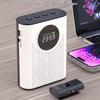 Zhuopu Little Bee Portable Bluetooth Amplifier