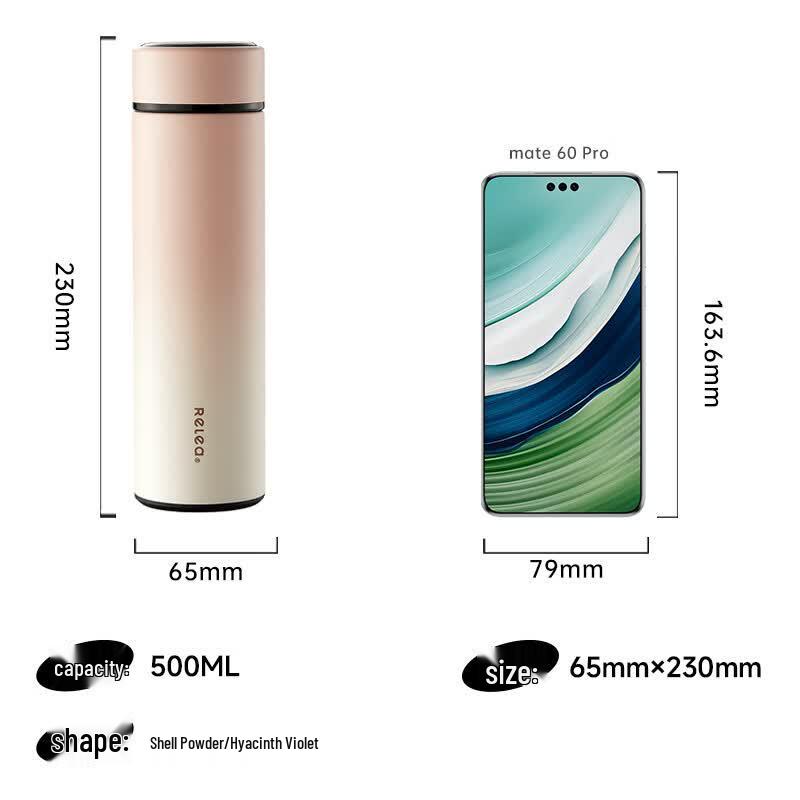 RELEA Smart Temperature Display Insulated Bottle