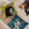 Popular Singer C-Conan G-Gray Pillow Cover Design Cushion Cover Decor Holiday Decorati