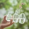 Transparent Glass Vase Triple Connected Floral Bottle Hydroponic Vase Flower Holder Minimalist Plant Terrarium