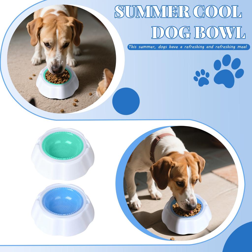 Pet Cooling Bowl Non-Toxic Durable Plastic Material Anti-Slip Base Designed for Maintaining Cool Water Temperature for Pets
