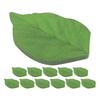 50 Sheets Per Book Green Leaf Stickers Notebooks with Realistic Leaf Shapes Cute Office and Home Decor Paper Reusable Leaves