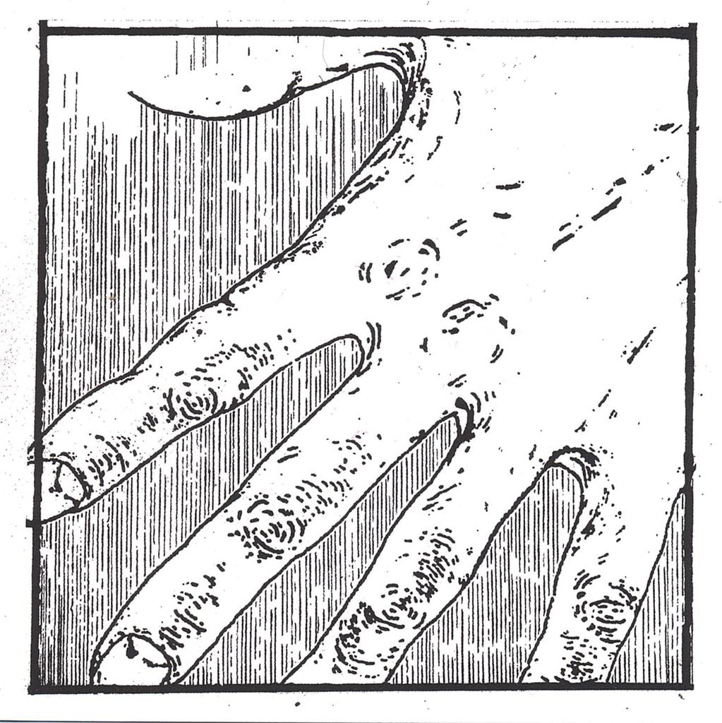 CD PAAP - CODE AND HINGE Japan ObiMusic Others Used