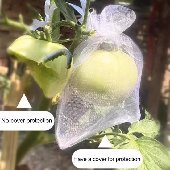 50 Adet Meyve Koruma Torbası Nefes Alabilir Şeffaf Kolay Takılır İpli File Domates Koruyucu Torbalar Zararlı Engelleyici File Örtüler