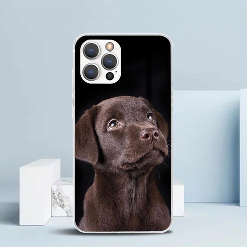 

Labrador Retriever Dog Phone Case For IPhone 16 17 Air 16E 15 14 Plus 13 Mini 12 11 Pro Max 7 8 + SE 2020 Soft TPU Back Cover 16 iPhone 15