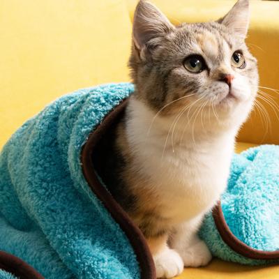 Serviette pour animaux de compagnie CTW-L Serviette de bain couverture en microfibre