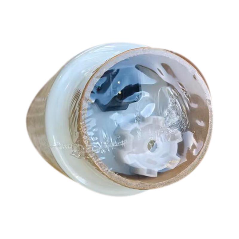 Jindi Shaanxi SX2300 Diesel Fuel Filter