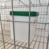 Geflügeltränke Auslaufsicher Haustier-Wasserspender